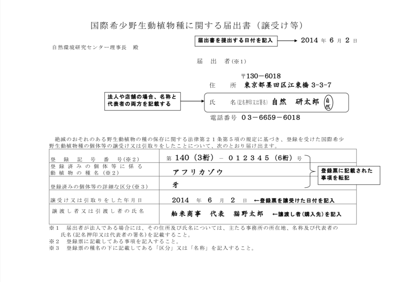 全形牙の買取注意点は登録票の有無だけではない！所有者の変更も必要 